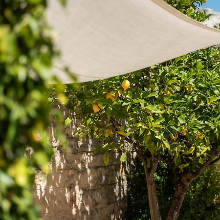 Trullo Dell'oleandro - Le Corti Del Silenzio Ceglie Messapica