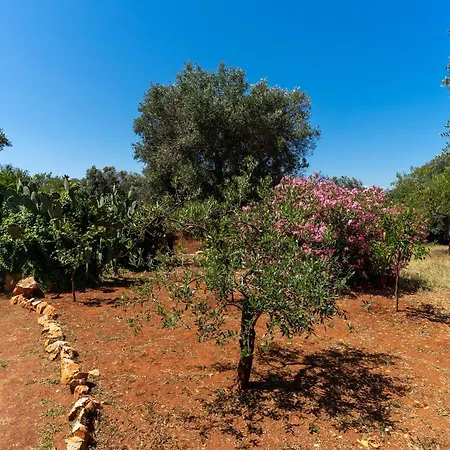 Trullo Dell'oleandro - Le Corti Del Silenzio *
