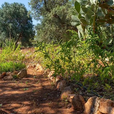 Βίλα Trullo Dell'oleandro - Le Corti Del Silenzio Ceglie Messapica