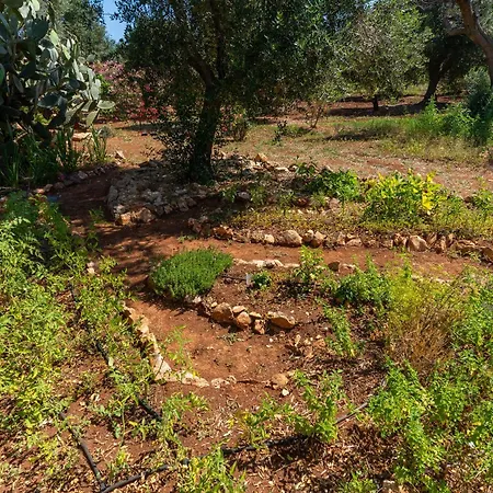 Trullo Dell'oleandro - Le Corti Del Silenzio