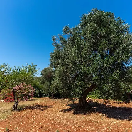 Trullo Dell'oleandro - Le Corti Del Silenzio Βίλα *