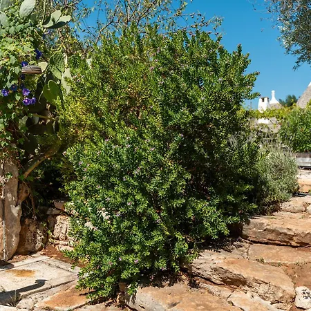 Villa Trullo Dell'oleandro - Le Corti Del Silenzio