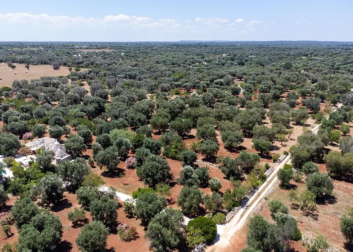 Trullo Dell'oleandro - Le Corti Del Silenzio Villa Ceglie Messapica