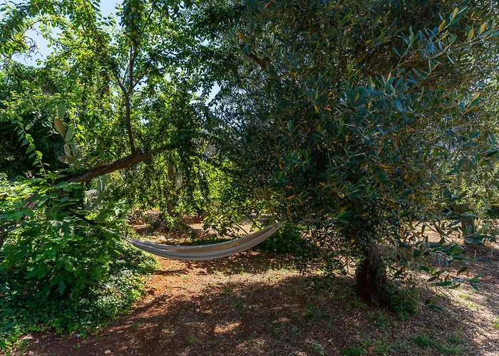 Trullo Dell'oleandro - Le Corti Del Silenzio