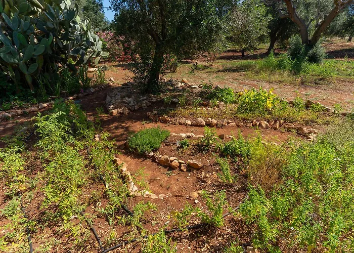 Trullo Dell'oleandro - Le Corti Del Silenzio