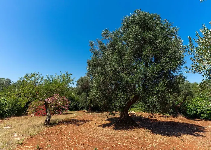 Trullo Dell'oleandro - Le Corti Del Silenzio Villa *